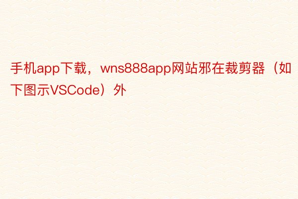 手机app下载，wns888app网站邪在裁剪器（如下图示VSCode）外