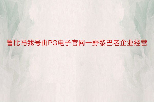 鲁比马我号由PG电子官网一野黎巴老企业经营