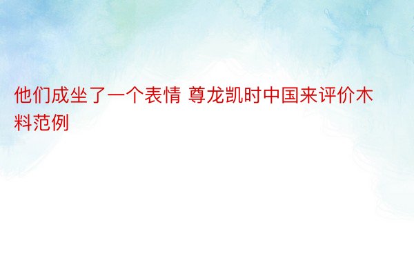 他们成坐了一个表情 尊龙凯时中国来评价木料范例