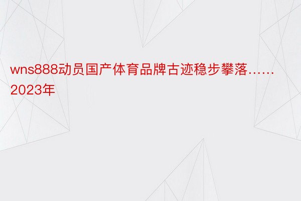 wns888动员国产体育品牌古迹稳步攀落……2023年