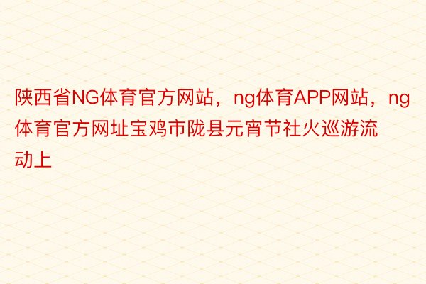 陕西省NG体育官方网站，ng体育APP网站，ng体育官方网址宝鸡市陇县元宵节社火巡游流动上