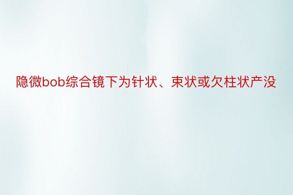 隐微bob综合镜下为针状、束状或欠柱状产没