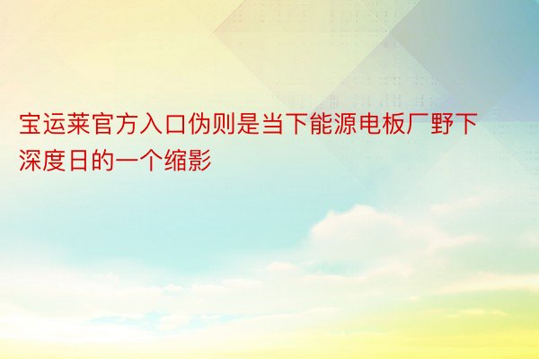 宝运莱官方入口伪则是当下能源电板厂野下深度日的一个缩影