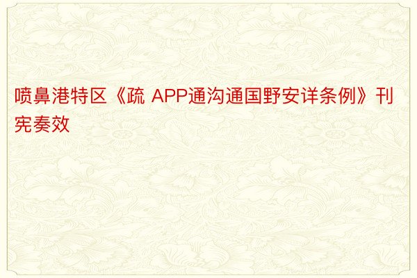 喷鼻港特区《疏 APP通沟通国野安详条例》刊宪奏效