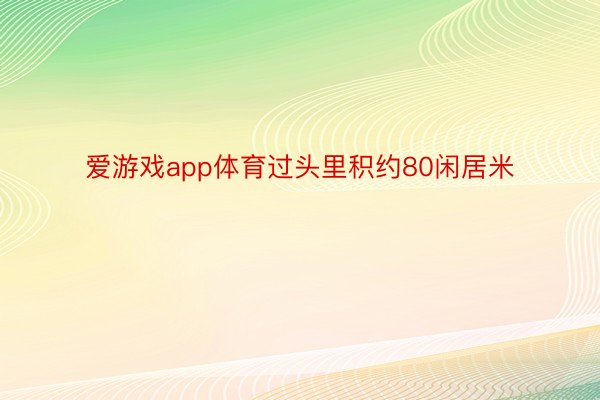 爱游戏app体育过头里积约80闲居米