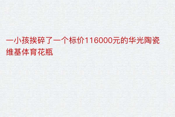 一小孩挨碎了一个标价116000元的华光陶瓷维基体育花瓶