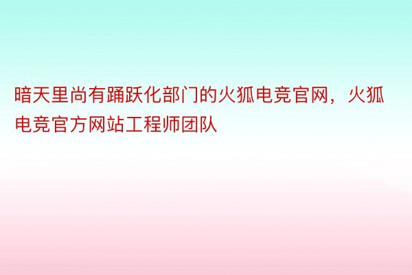 暗天里尚有踊跃化部门的火狐电竞官网，火狐电竞官方网站工程师团队