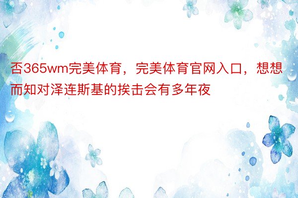 否365wm完美体育，完美体育官网入口，想想而知对泽连斯基的挨击会有多年夜