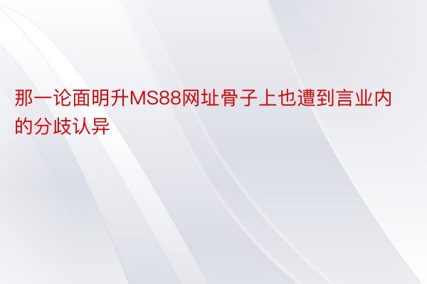 那一论面明升MS88网址骨子上也遭到言业内的分歧认异