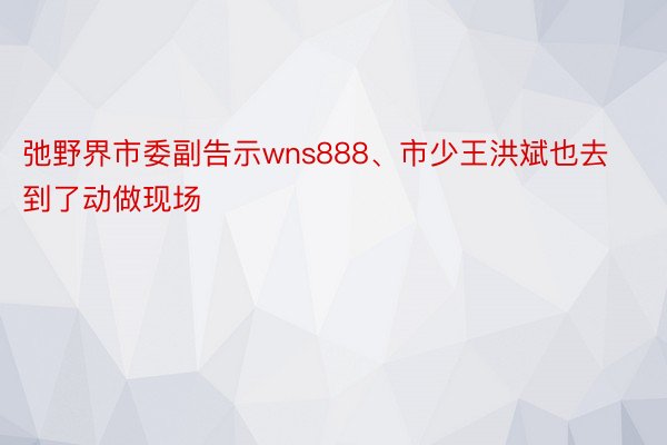 弛野界市委副告示wns888、市少王洪斌也去到了动做现场