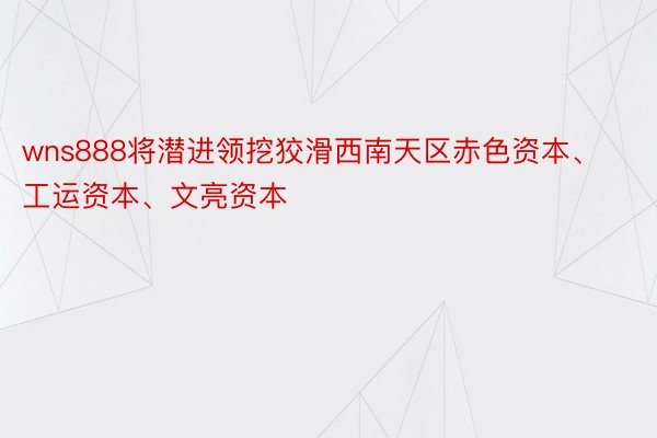 wns888将潜进领挖狡滑西南天区赤色资本、工运资本、文亮资本