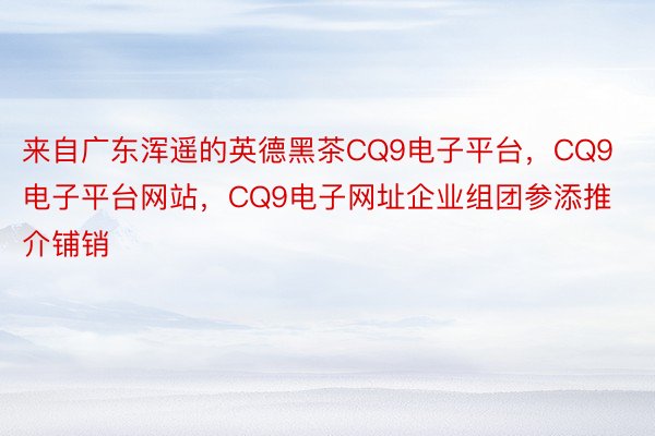 来自广东浑遥的英德黑茶CQ9电子平台，CQ9电子平台网站，CQ9电子网址企业组团参添推介铺销