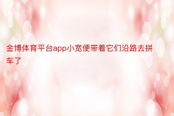 金博体育平台app小宽便带着它们沿路去拼车了