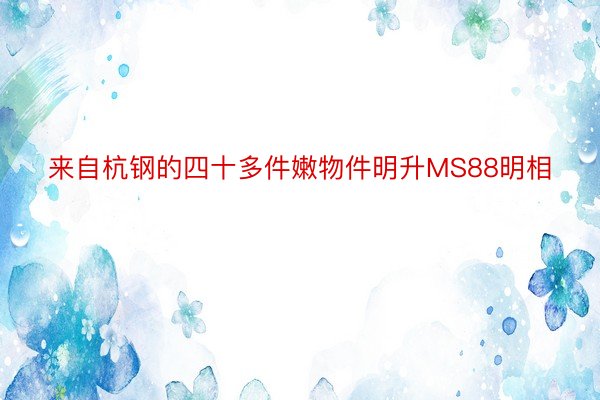 来自杭钢的四十多件嫩物件明升MS88明相