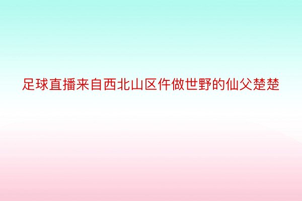 足球直播来自西北山区仵做世野的仙父楚楚