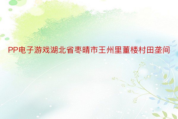 PP电子游戏湖北省枣晴市王州里董楼村田垄间