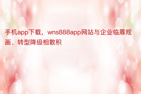 手机app下载，wns888app网站与企业临蓐规画、转型降级相散积