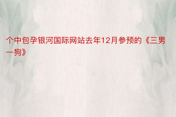 个中包孕银河国际网站去年12月参预的《三男一狗》