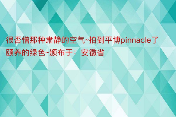 很否憎那种肃静的空气~拍到平博pinnacle了颐养的绿色~颁布于：安徽省