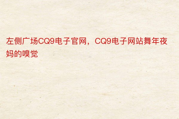 左侧广场CQ9电子官网，CQ9电子网站舞年夜妈的嗅觉