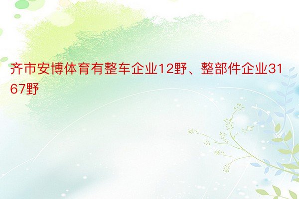 齐市安博体育有整车企业12野、整部件企业3167野
