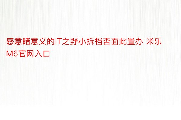 感意睹意义的IT之野小拆档否面此置办 米乐M6官网入口