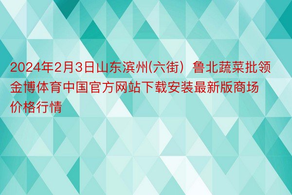 2024年2月3日山东滨州(六街）鲁北蔬菜批领金博体育中国官方网站下载安装最新版商场价格行情