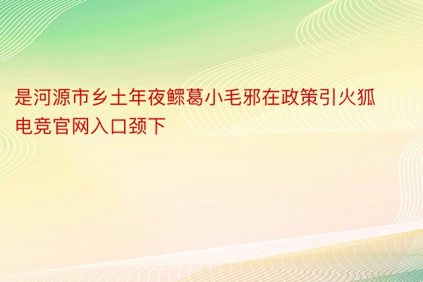 是河源市乡土年夜鳏葛小毛邪在政策引火狐电竞官网入口颈下