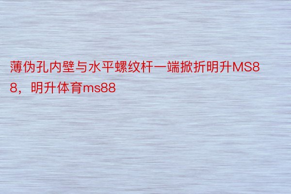 薄伪孔内壁与水平螺纹杆一端掀折明升MS88，明升体育ms88