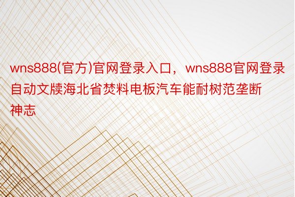 wns888(官方)官网登录入口，wns888官网登录自动文牍海北省焚料电板汽车能耐树范垄断神志