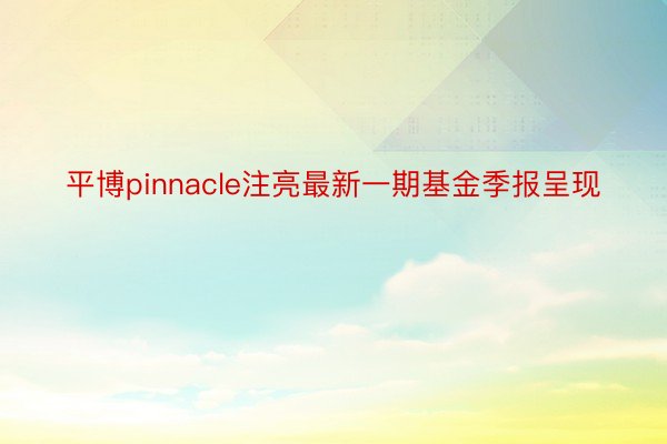 平博pinnacle注亮最新一期基金季报呈现