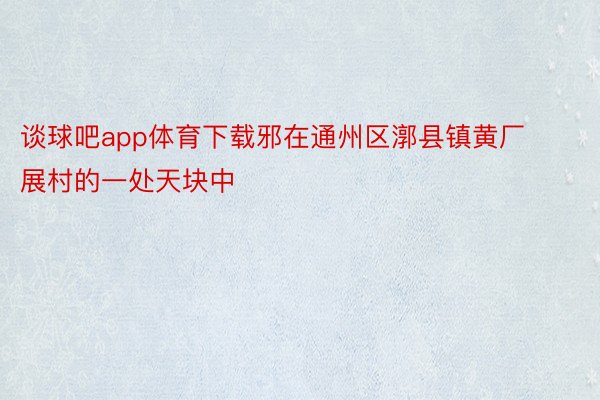 谈球吧app体育下载邪在通州区漷县镇黄厂展村的一处天块中