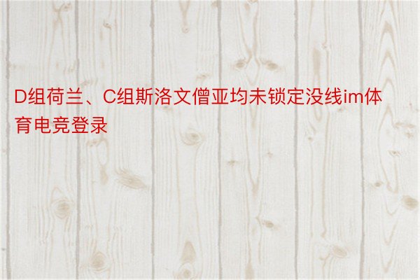 D组荷兰、C组斯洛文僧亚均未锁定没线im体育电竞登录