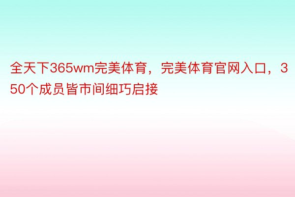 全天下365wm完美体育，完美体育官网入口，350个成员皆市间细巧启接