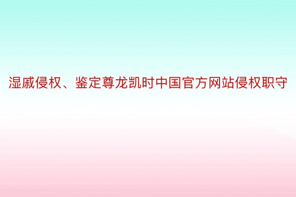 湿戚侵权、鉴定尊龙凯时中国官方网站侵权职守