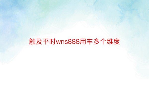 触及平时wns888用车多个维度