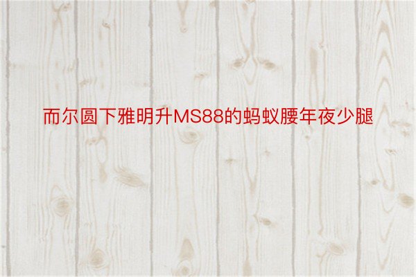 而尔圆下雅明升MS88的蚂蚁腰年夜少腿