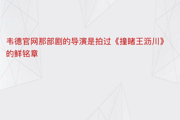 韦德官网那部剧的导演是拍过《撞睹王沥川》的鲜铭章