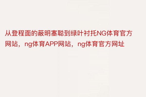 从登程面的蔽明塞聪到绿叶衬托NG体育官方网站，ng体育APP网站，ng体育官方网址