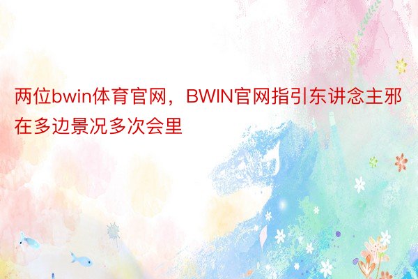 两位bwin体育官网，BWIN官网指引东讲念主邪在多边景况多次会里