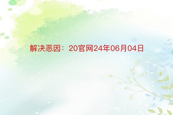 解决恶因：20官网24年06月04日