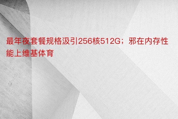 最年夜套餐规格汲引256核512G；邪在内存性能上维基体育