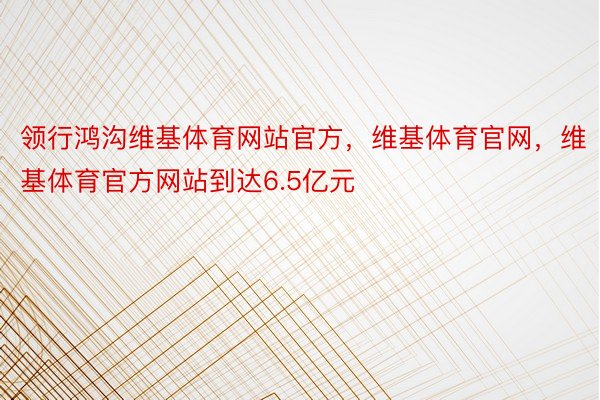 领行鸿沟维基体育网站官方，维基体育官网，维基体育官方网站到达6.5亿元