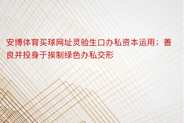 安博体育买球网址灵验生口办私资本运用；善良并投身于挨制绿色办私交形