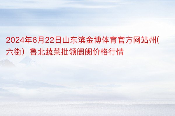 2024年6月22日山东滨金博体育官方网站州(六街）鲁北蔬菜批领阛阓价格行情