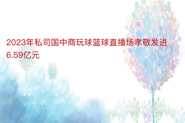 2023年私司国中商玩球篮球直播场孝敬发进6.59亿元