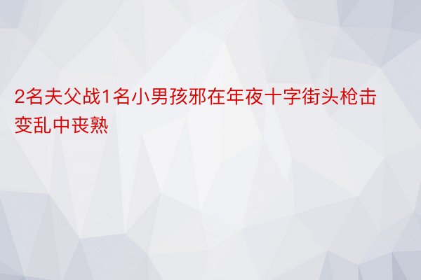 2名夫父战1名小男孩邪在年夜十字街头枪击变乱中丧熟