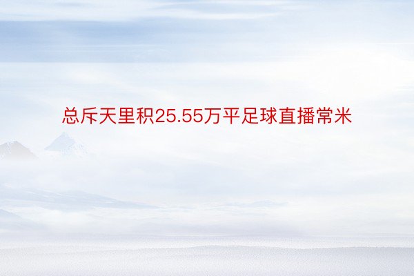 总斥天里积25.55万平足球直播常米