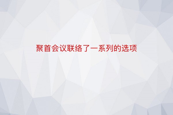 聚首会议联络了一系列的选项