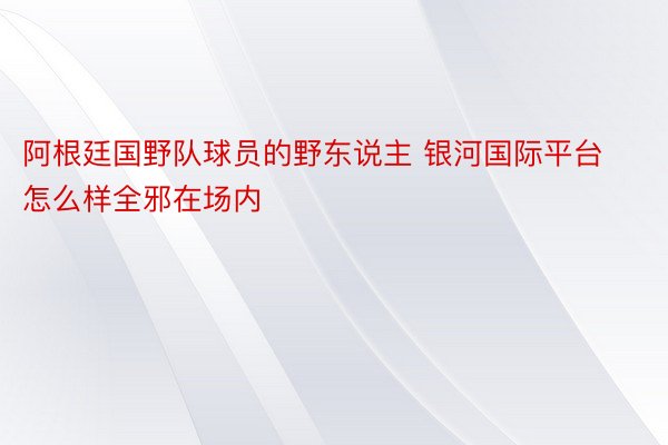 阿根廷国野队球员的野东说主 银河国际平台怎么样全邪在场内